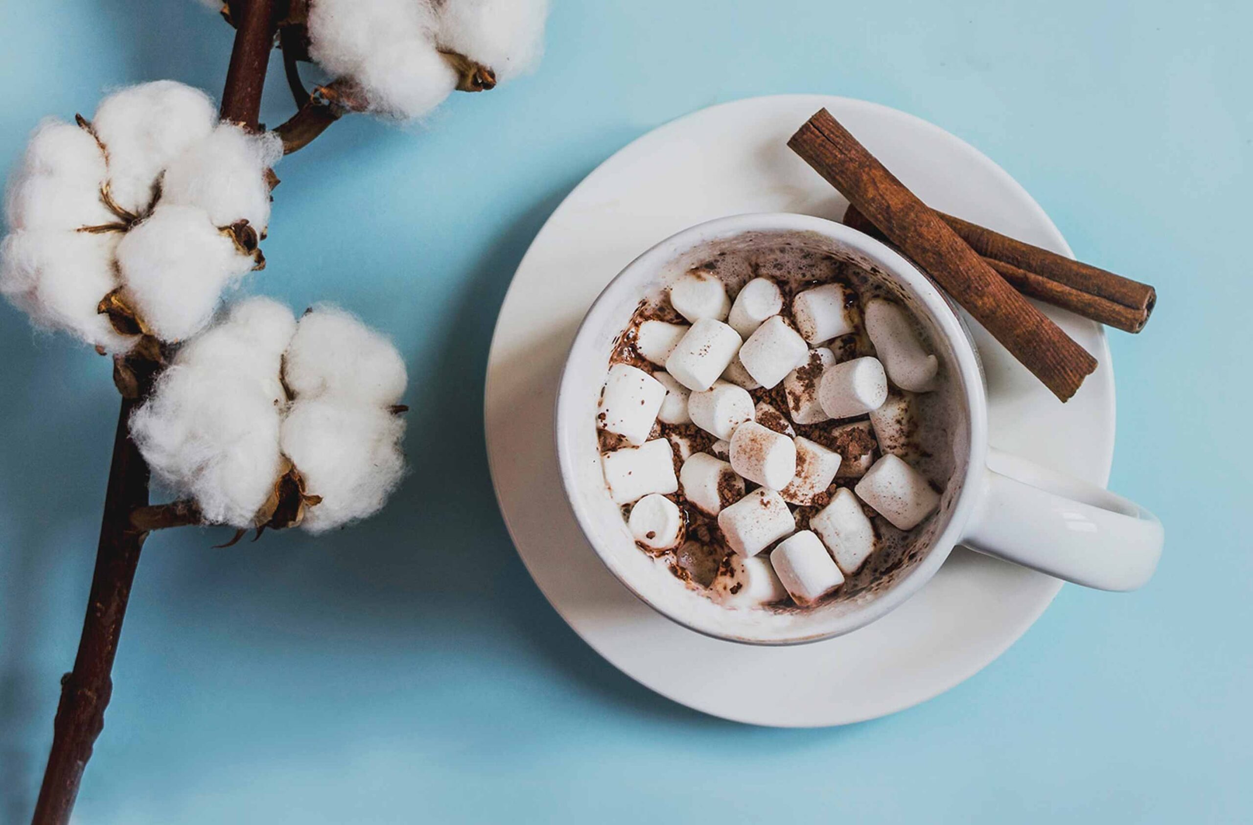 Video Recipe: The Perfect Cosmopolitan